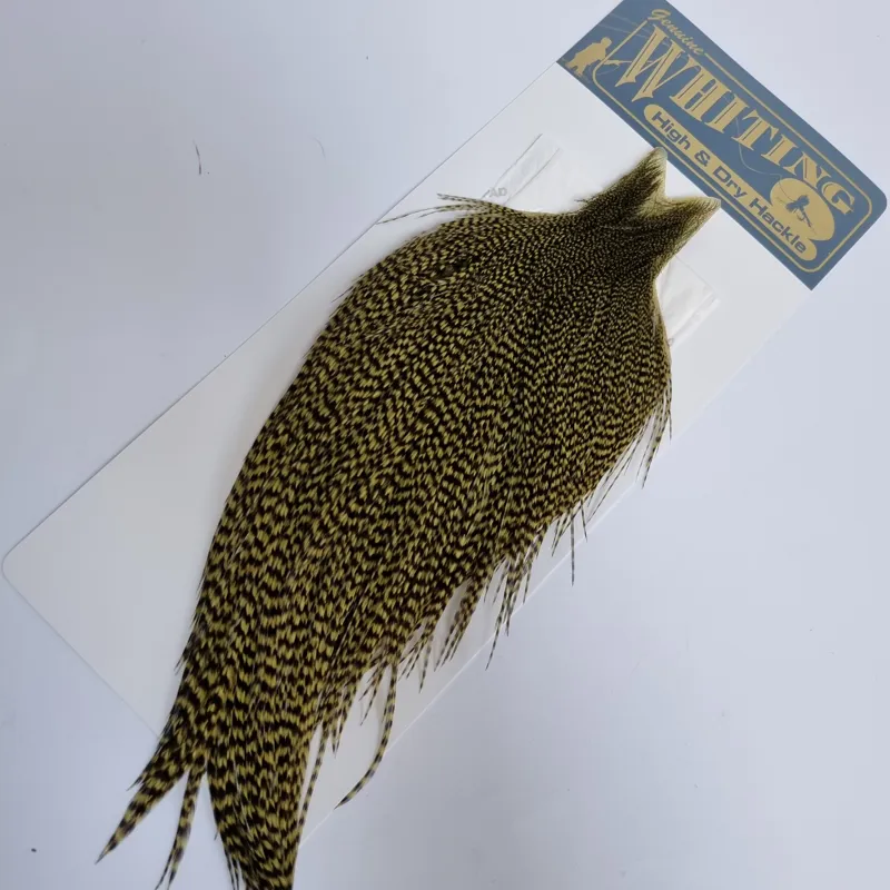 Whiting High and Dry Rooster Cape in Grizzly in Olive-3